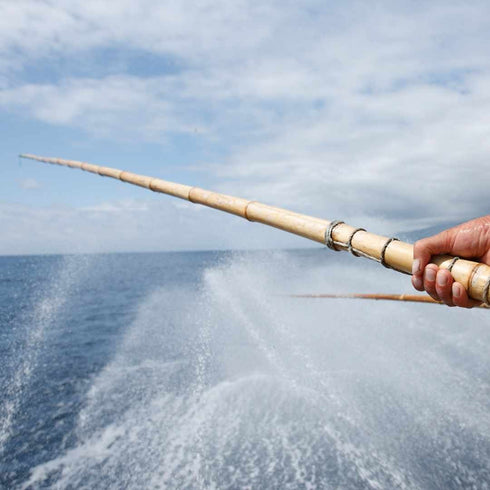 Atún de las Azores con pimiento 120g