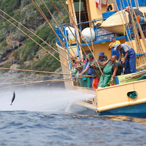 Atún de las Azores con hinojo 120g